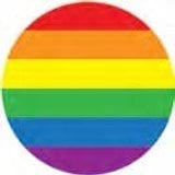 Lesbian, Gay, Bisexual, Transgender, Intersex and Queer flag icon